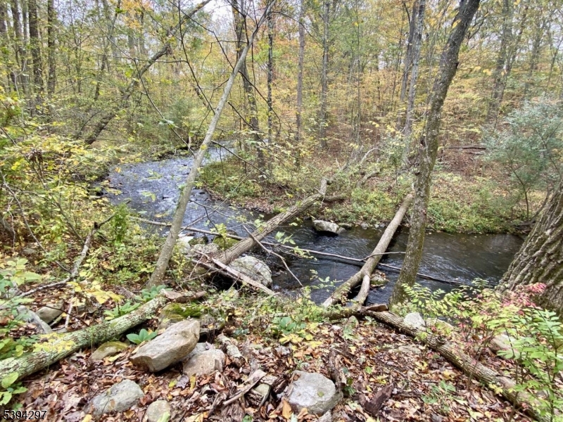 7 Stempert Road Branchville, NJ 07826 - Photo 4 of 50