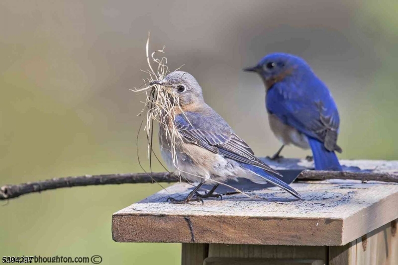 7 Stempert Road Branchville, NJ 07826 - Photo 50 of 50 a view of a room with a fountain