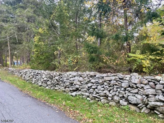 a view of a yard with plants and trees