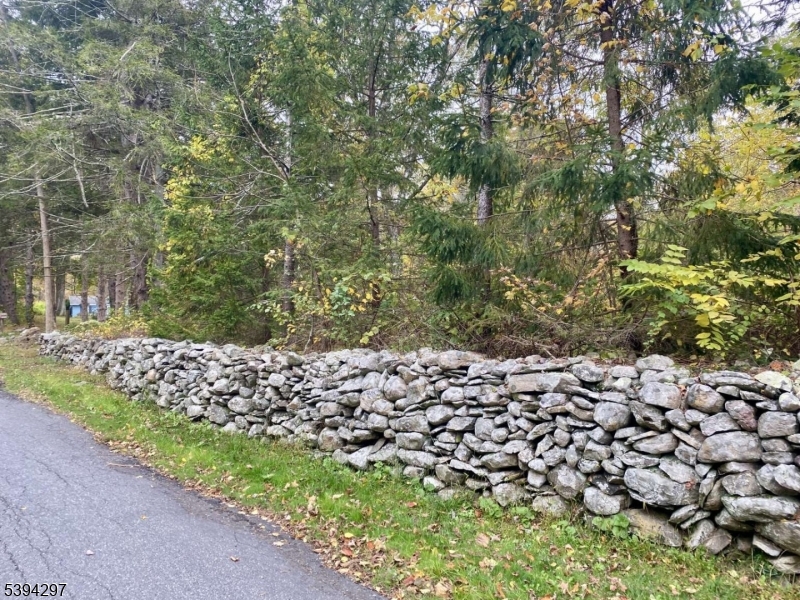 7 Stempert Road Branchville, NJ 07826 - Photo 6 of 50 a large yard with lots of green space and trees