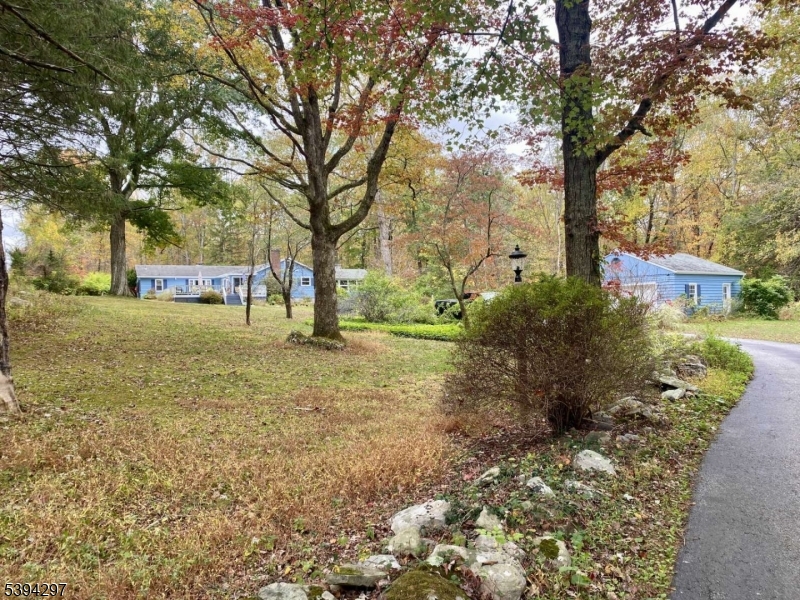 7 Stempert Road Branchville, NJ 07826 - Photo 7 of 50 a view of a yard with plants and trees