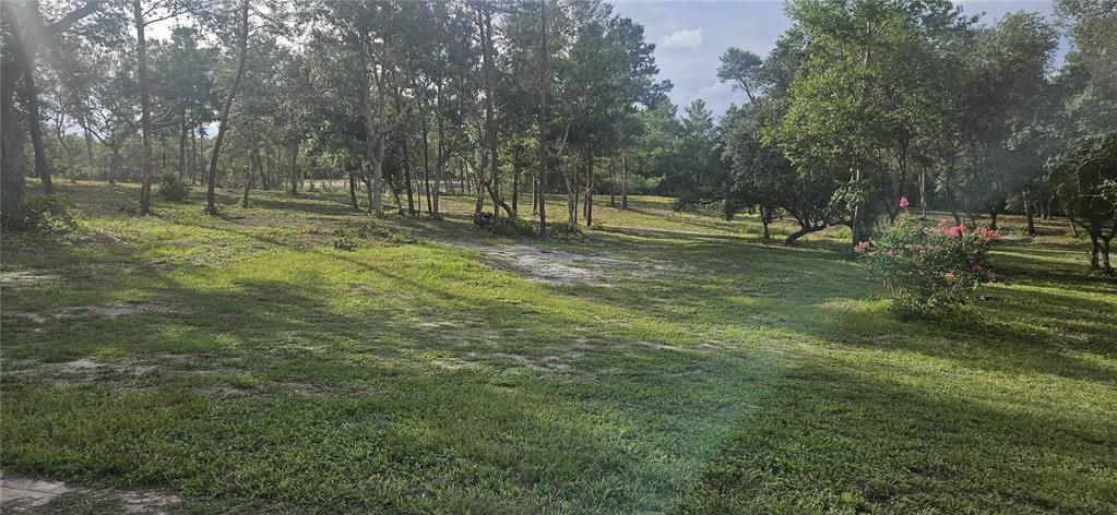 40140 Swift Road Eustis, FL 32736 - Photo 37 of 41