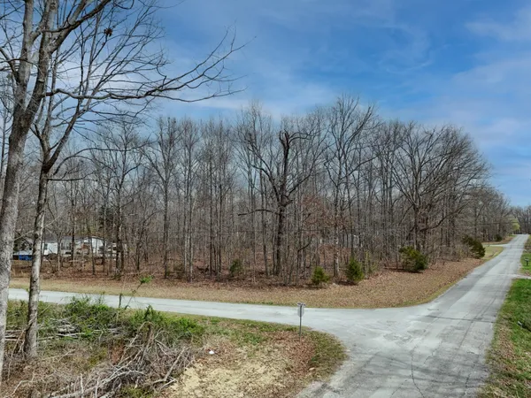 $49,900 | 0 Lakewood Drive, Beechgrove, TN 37018