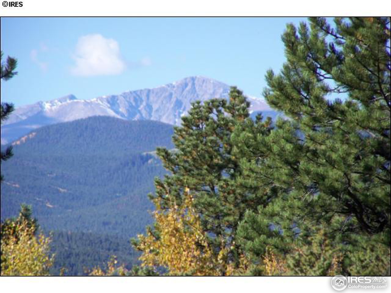 2607 Ridge Road Nederland, CO 80466 - Photo 14 of 18 a view of a house with a yard and a forest