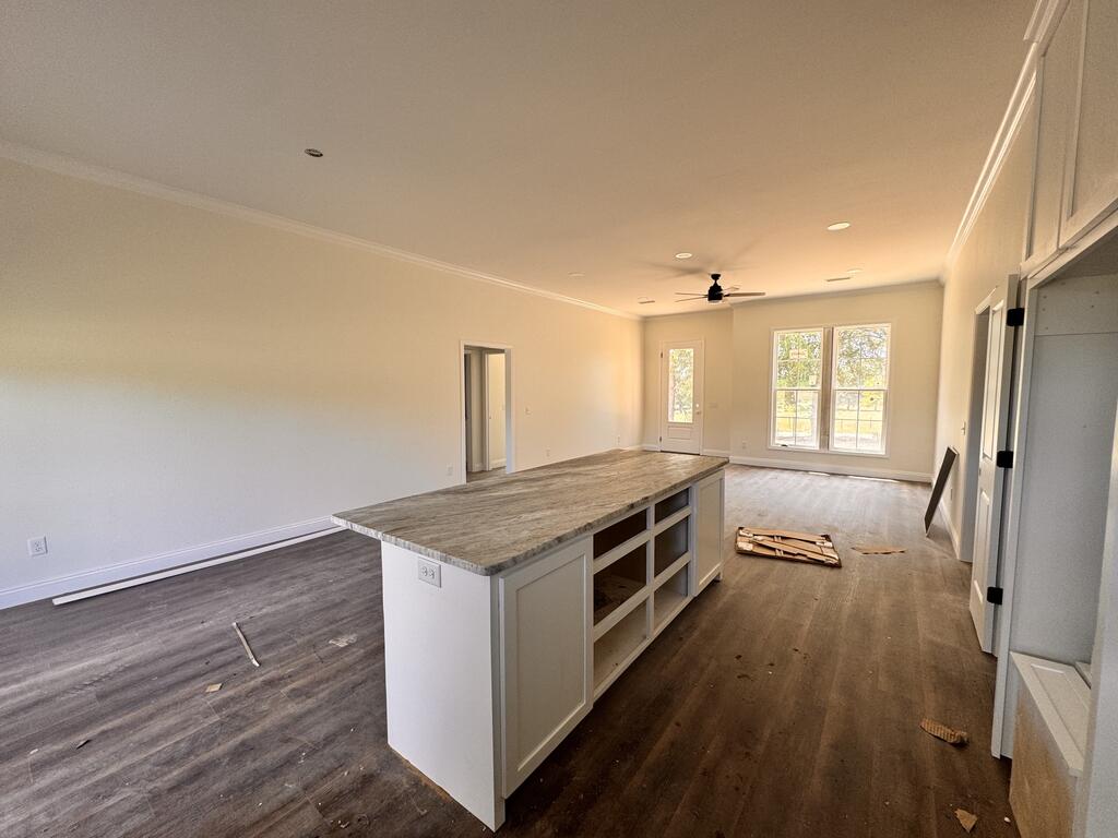 827 Bruner Mill Road Ashford, AL 36312 - Photo 5 of 21 Gallery Image 5
