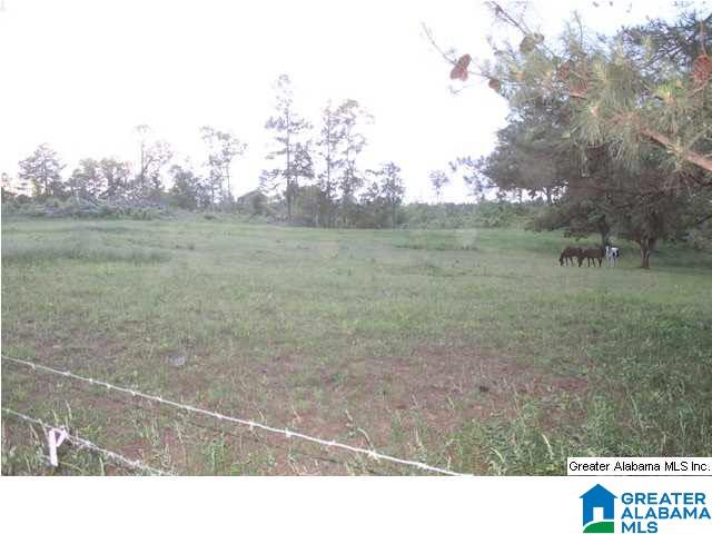 142 County Road, Unit 38 Roanoke, AL 36274 - Photo 6 of 6