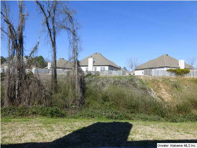 116 Hannah Circle Calera, AL 35040 - Photo 20 of 20
