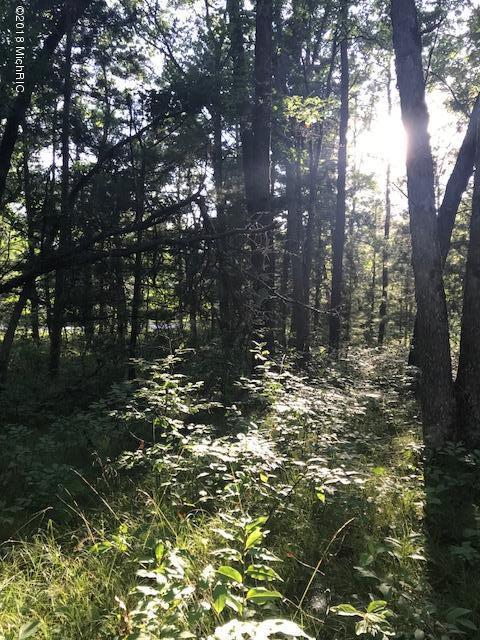 East Barothy Road Branch, MI 49402 - Photo 11 of 21 IMG_4364