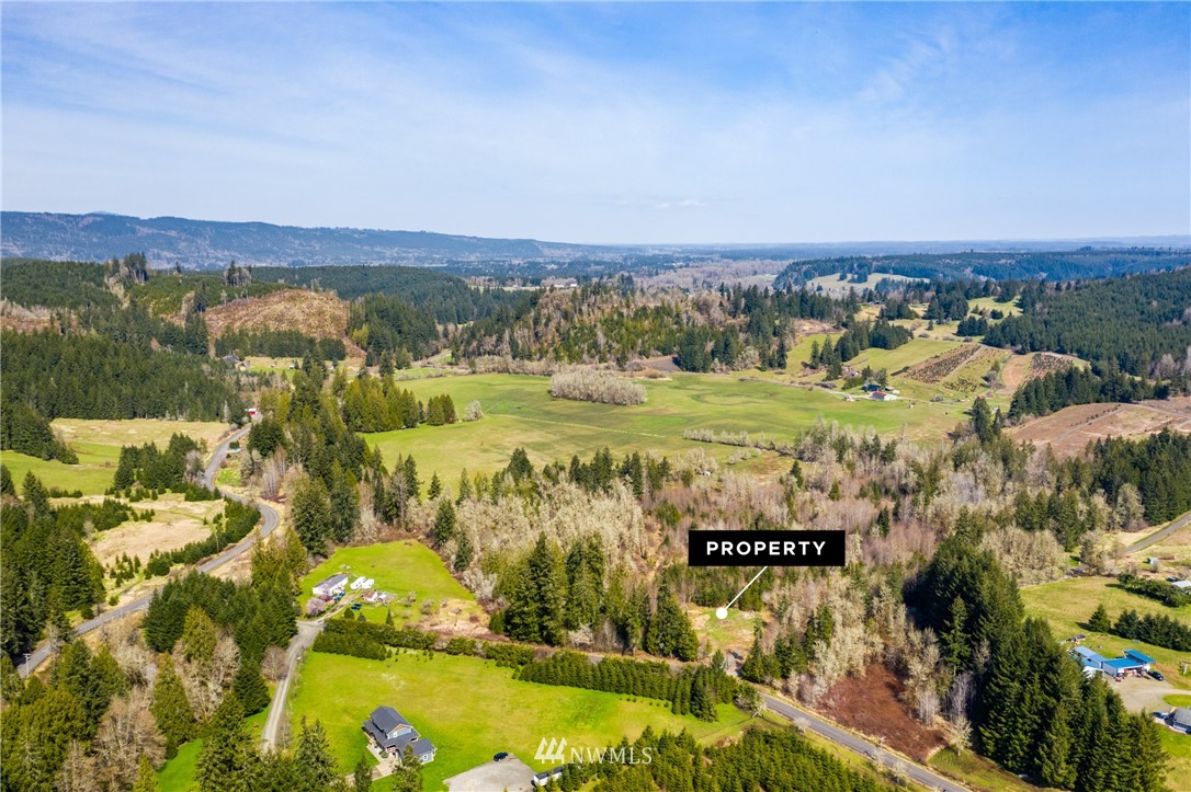 133 Jylha Road Rochester, WA 98579 - Photo 2 of 12