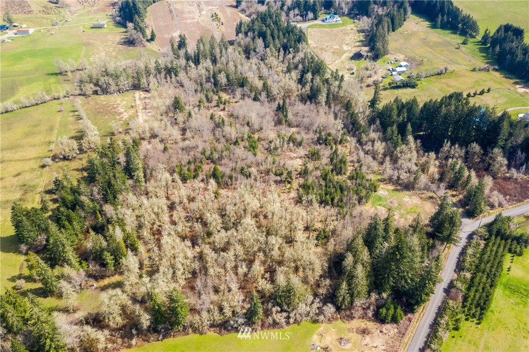 133 Jylha Road Rochester, WA 98579 - Photo 3 of 12
