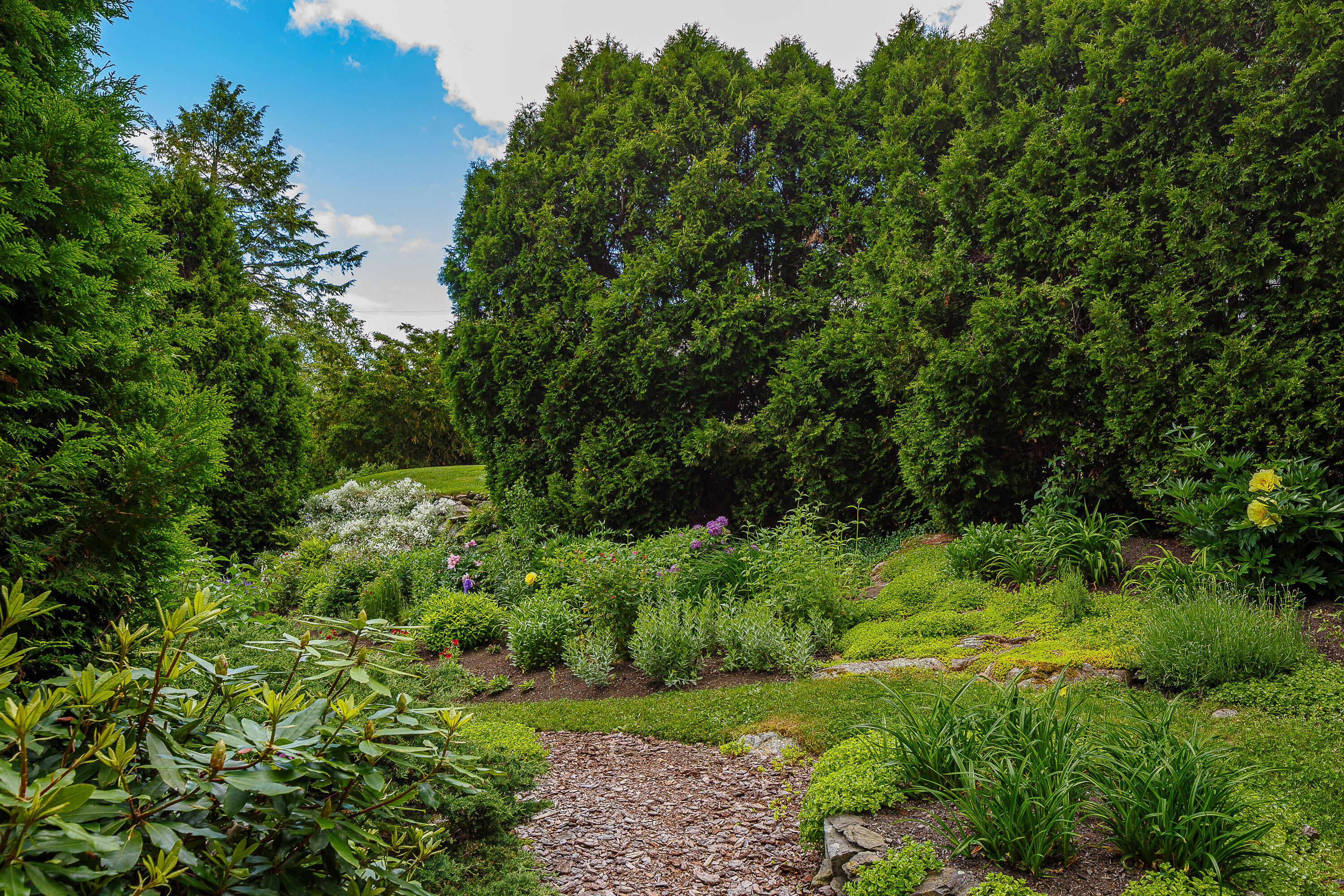 195 Beauchamp Point Road Rockport, ME 04856 - Photo 8 of 31