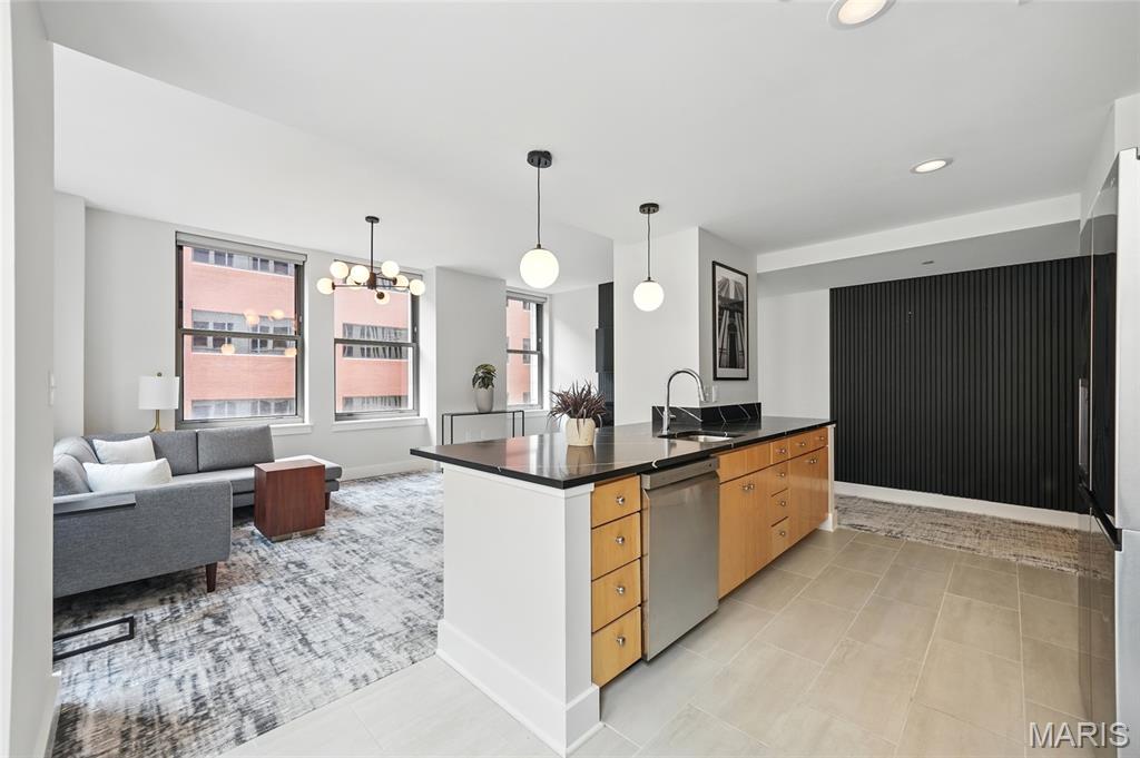 314 North Broadway, Unit 806 St. Louis, MO 63102 - Photo 9 of 16