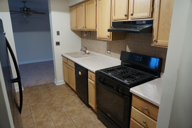 1004 North Mill Street, Unit 104 Naperville, IL 60563 - Photo 4 of 17