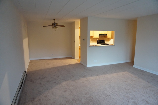 1004 North Mill Street, Unit 104 Naperville, IL 60563 - Photo 7 of 17