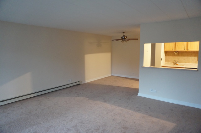 1004 North Mill Street, Unit 104 Naperville, IL 60563 - Photo 8 of 17