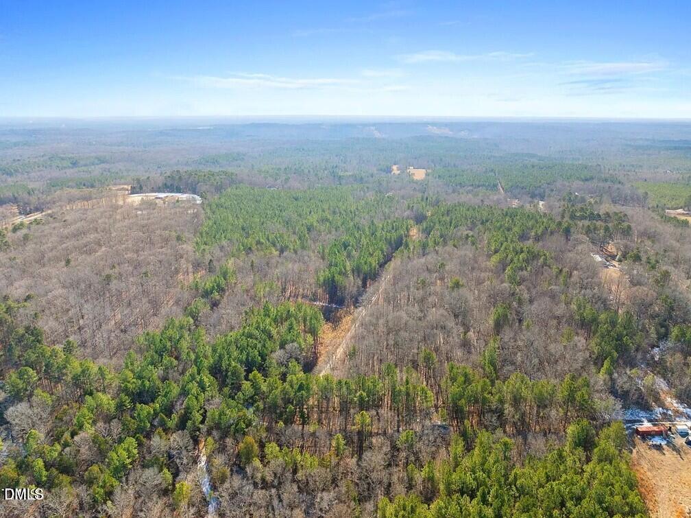 2787 Mt View Church Road Moncure, NC 27559 - Photo 10 of 12 a view of a big yard with lots of green space