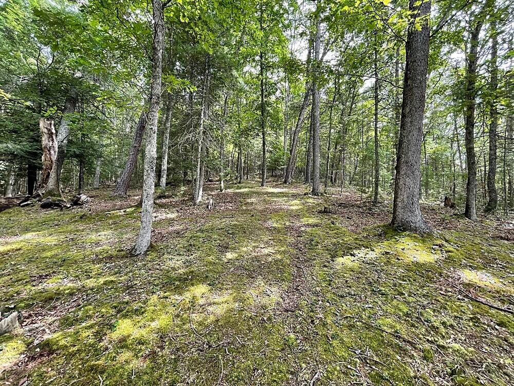886 Laurel Run Road Dunmore, WV 24934 - Photo 36 of 36 Gallery Image 36