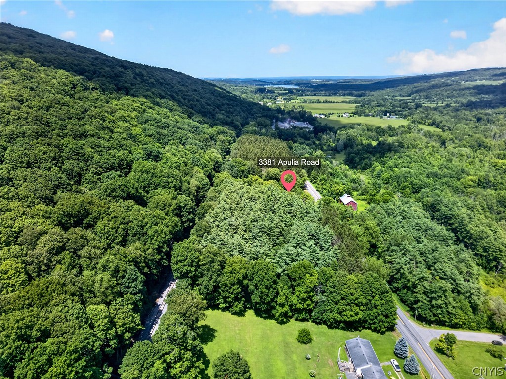 3387 Apulia Road LaFayette, NY 13078 - Photo 50 of 50 Gallery Image 50