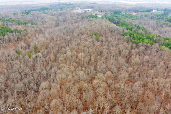 a view of a dry field with lots of trees