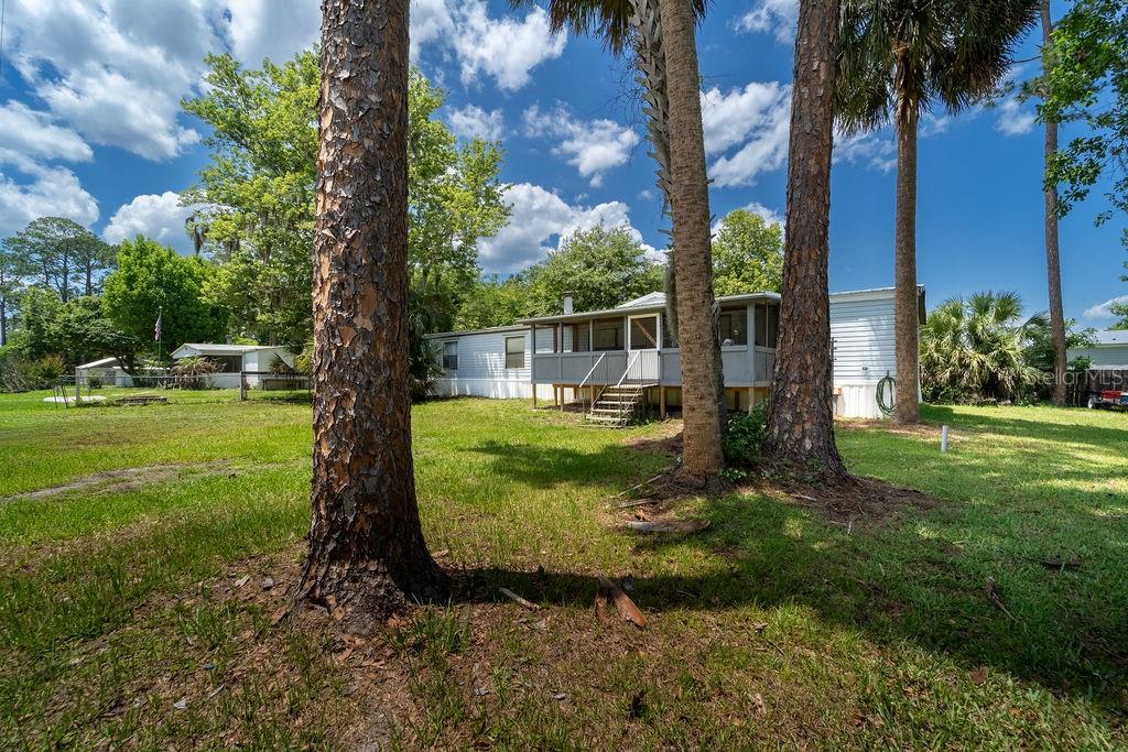 24031 Armadillo Road Astor, FL 32102 - Photo 43 of 43 a view of a garden with a tree