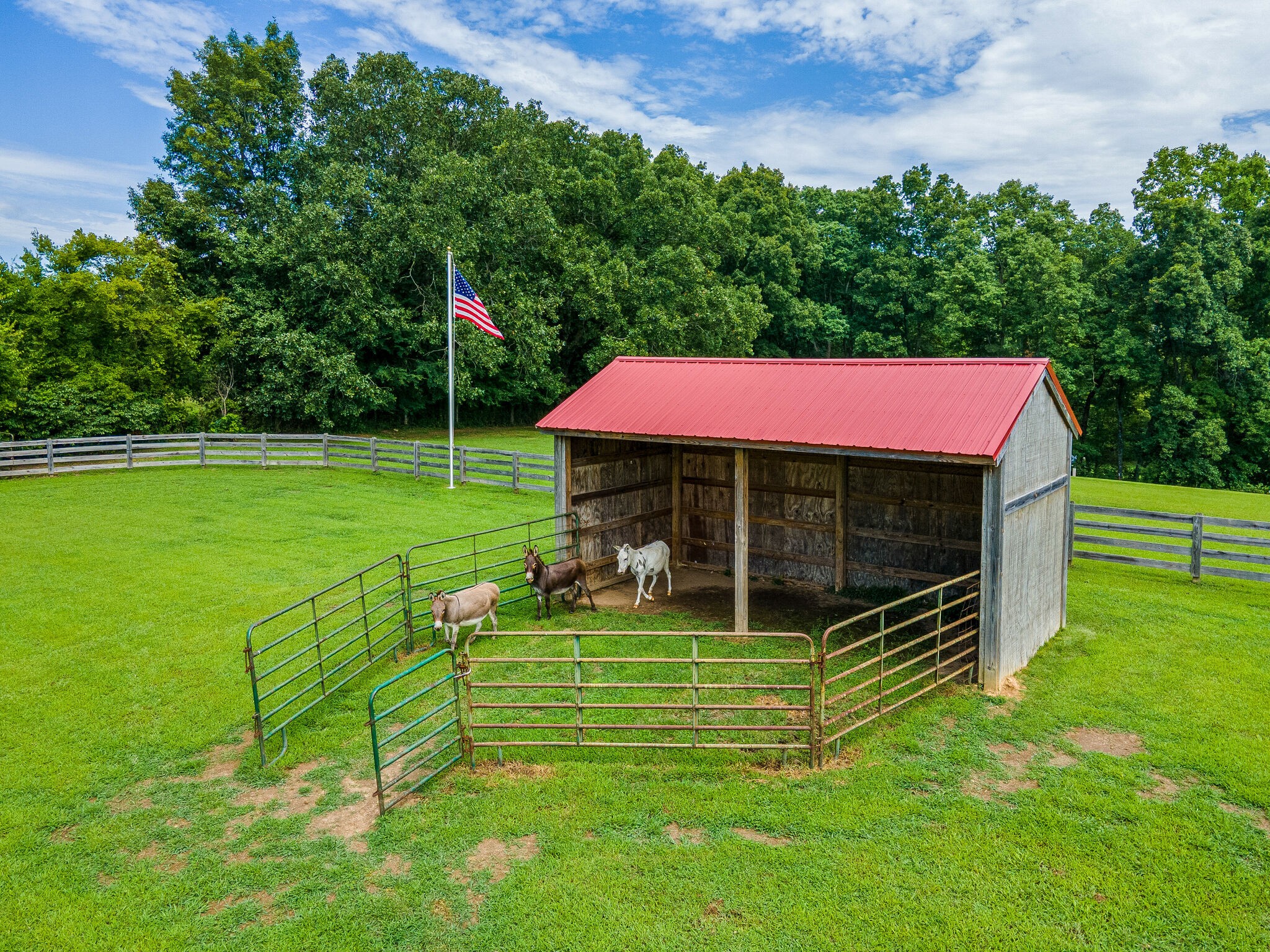 7676 Barnhill Road Primm Springs, TN 38476 - Photo 59 of 69