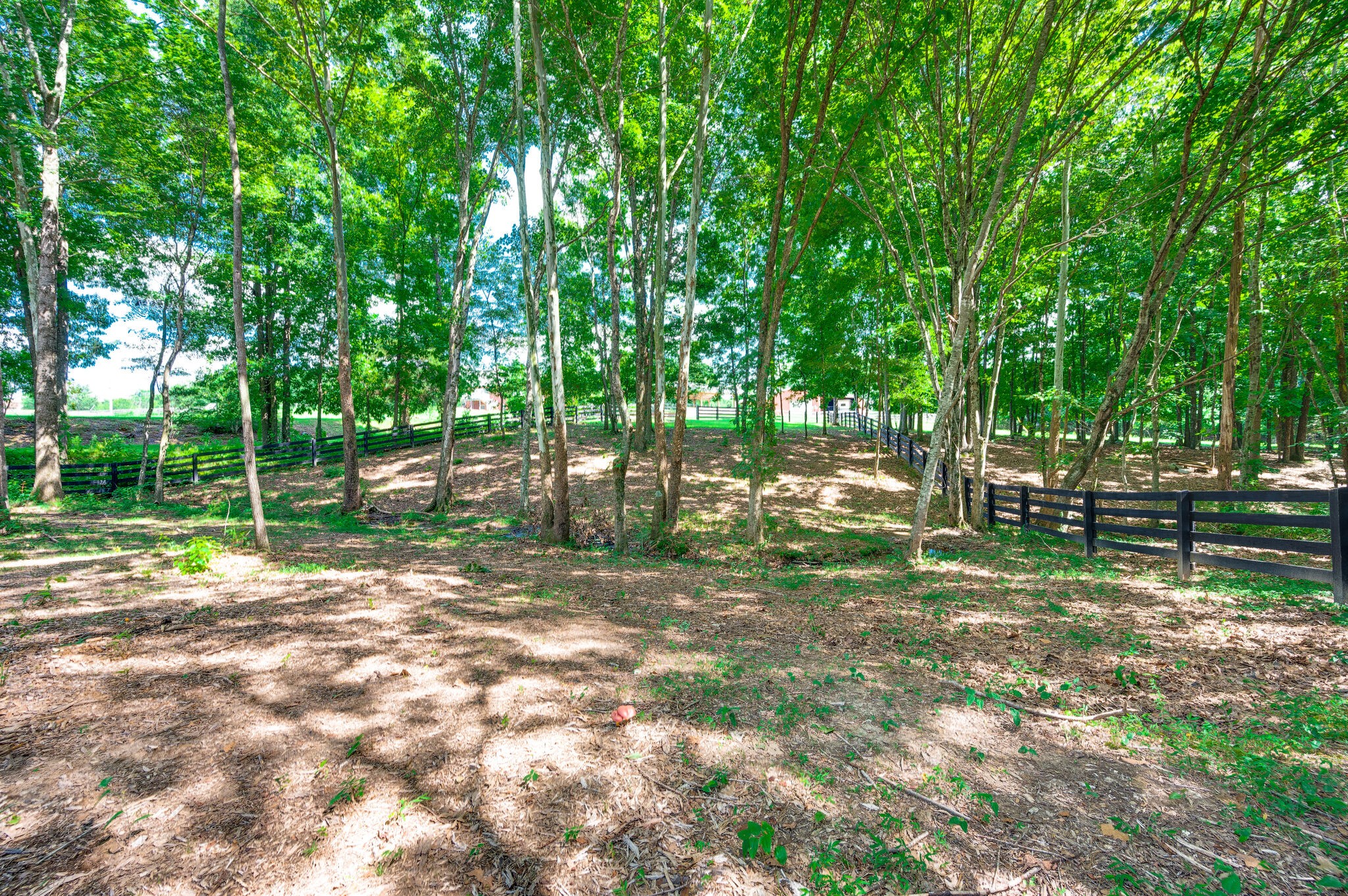 7676 Barnhill Road Primm Springs, TN 38476 - Photo 61 of 69