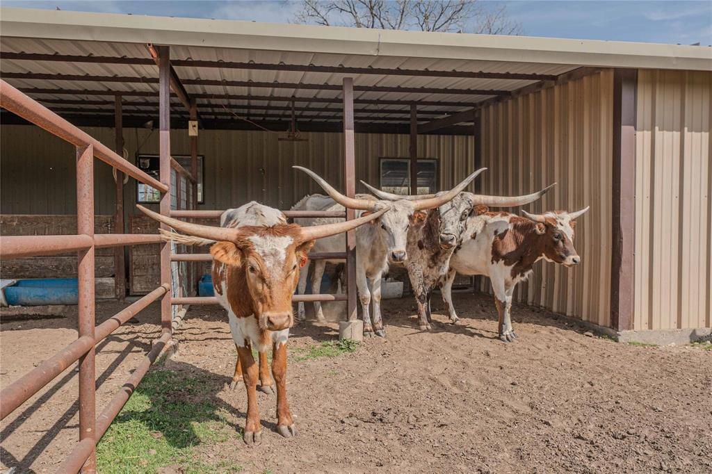 900 Silver Creek Azle Road Azle, TX 76020 - Photo 22 of 27 Metal-sided animal shelter featuring a covered area with a corrugated roof
