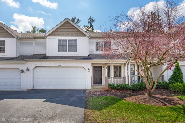 $275,000 | 229 Spring Point Drive, Carpentersville, IL 60110