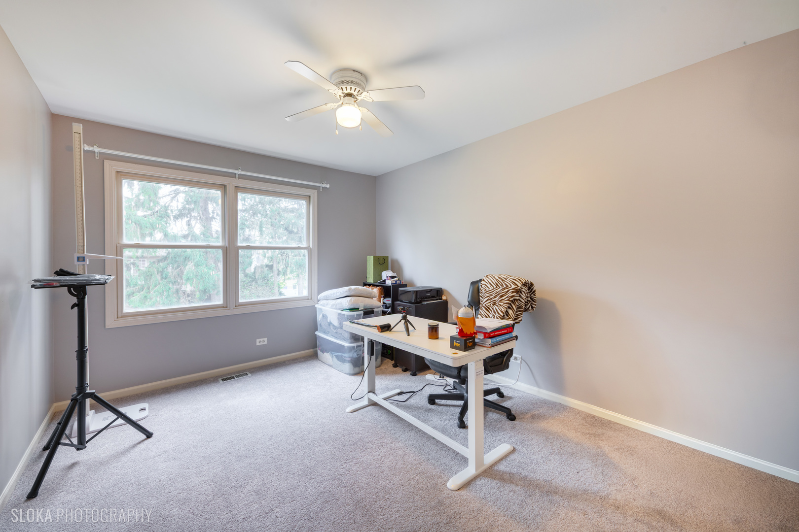 229 Spring Point Drive Carpentersville, IL 60110 - Photo 18 of 27 a workspace with a window