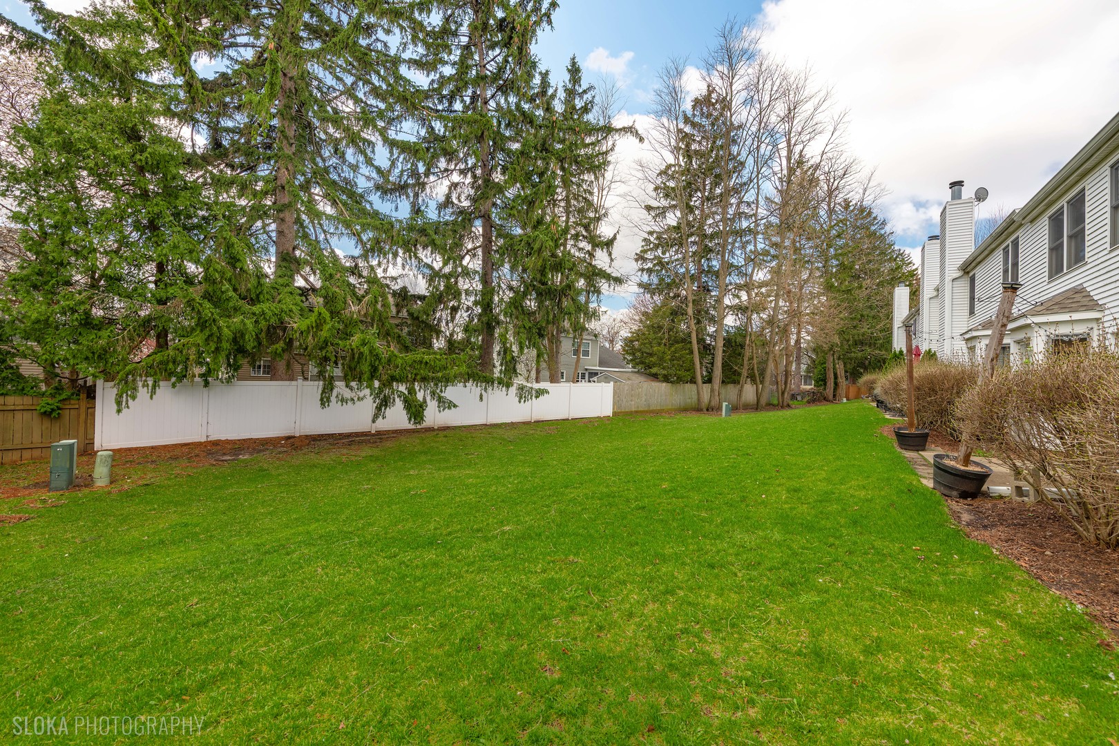 229 Spring Point Drive Carpentersville, IL 60110 - Photo 24 of 27 a view of a park with large trees