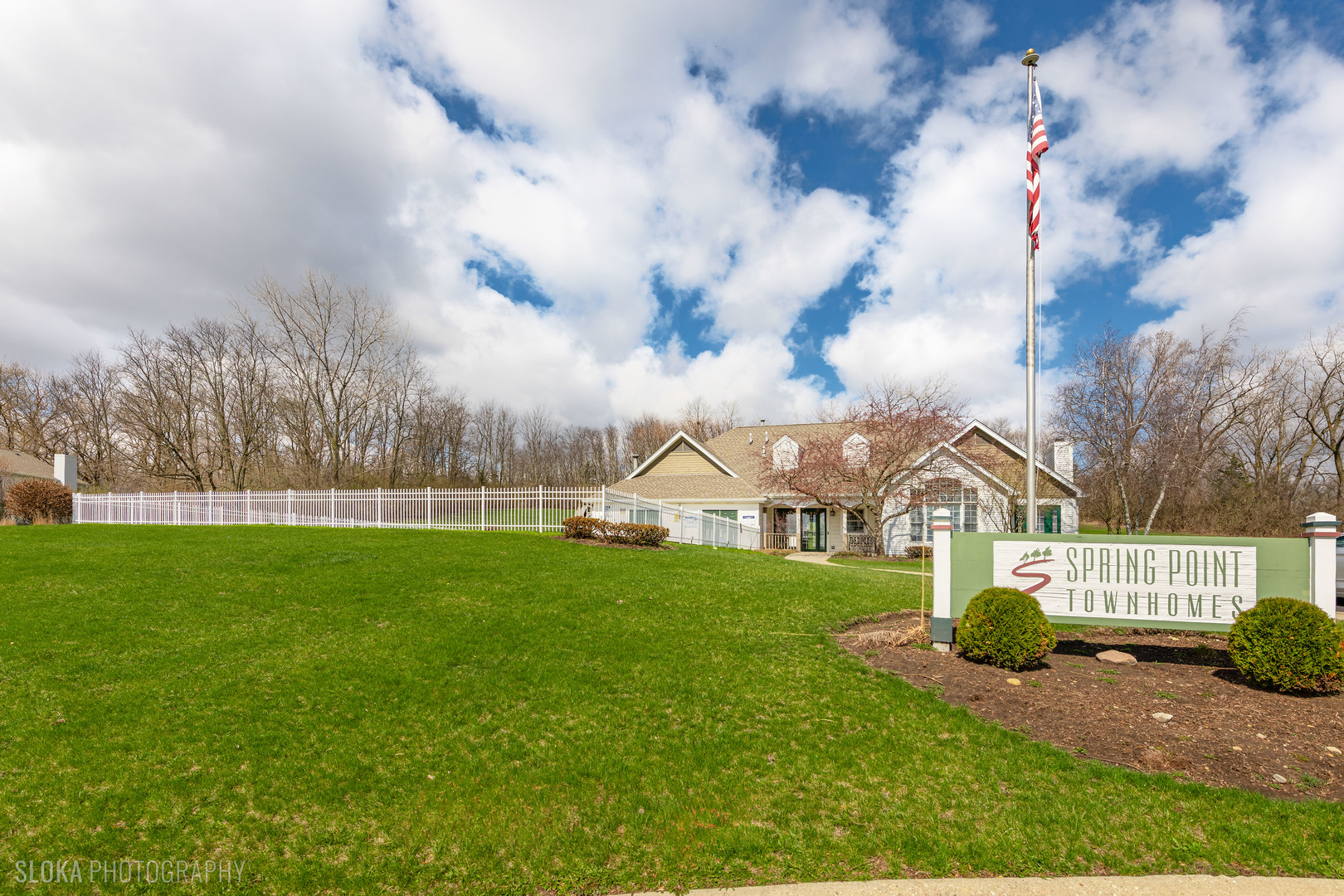 229 Spring Point Drive Carpentersville, IL 60110 - Photo 26 of 27 a view of a house with a big yard
