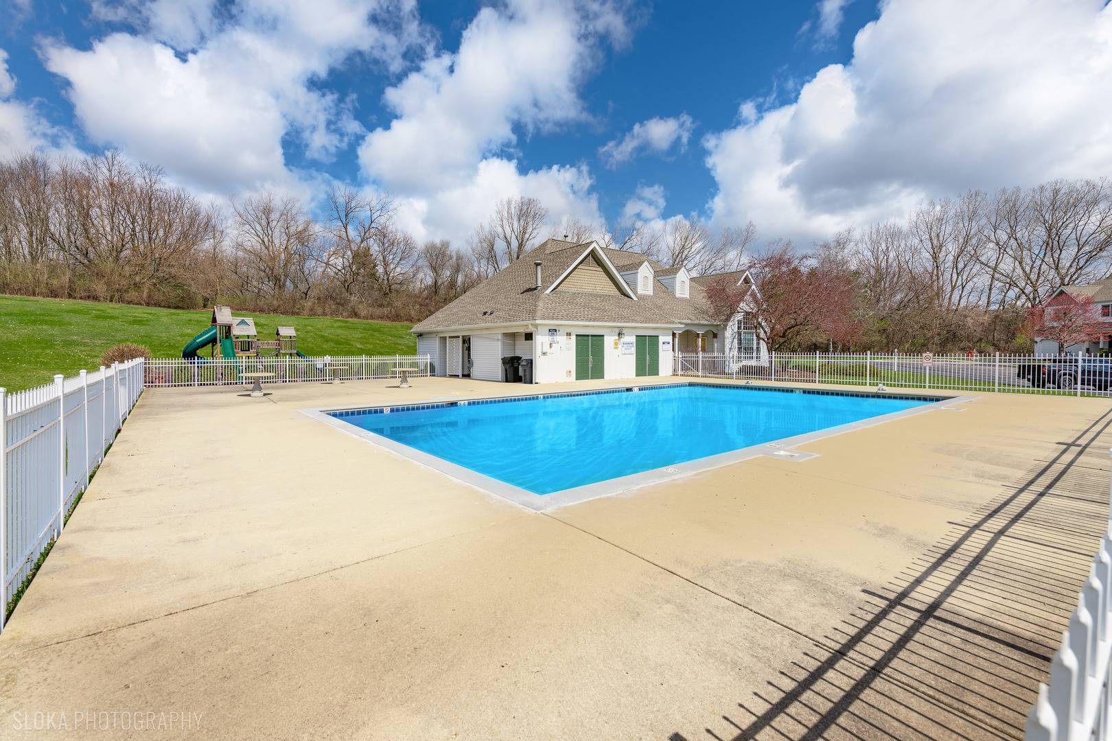 229 Spring Point Drive Carpentersville, IL 60110 - Photo 27 of 27 a view of swimming pool is middle in the garden