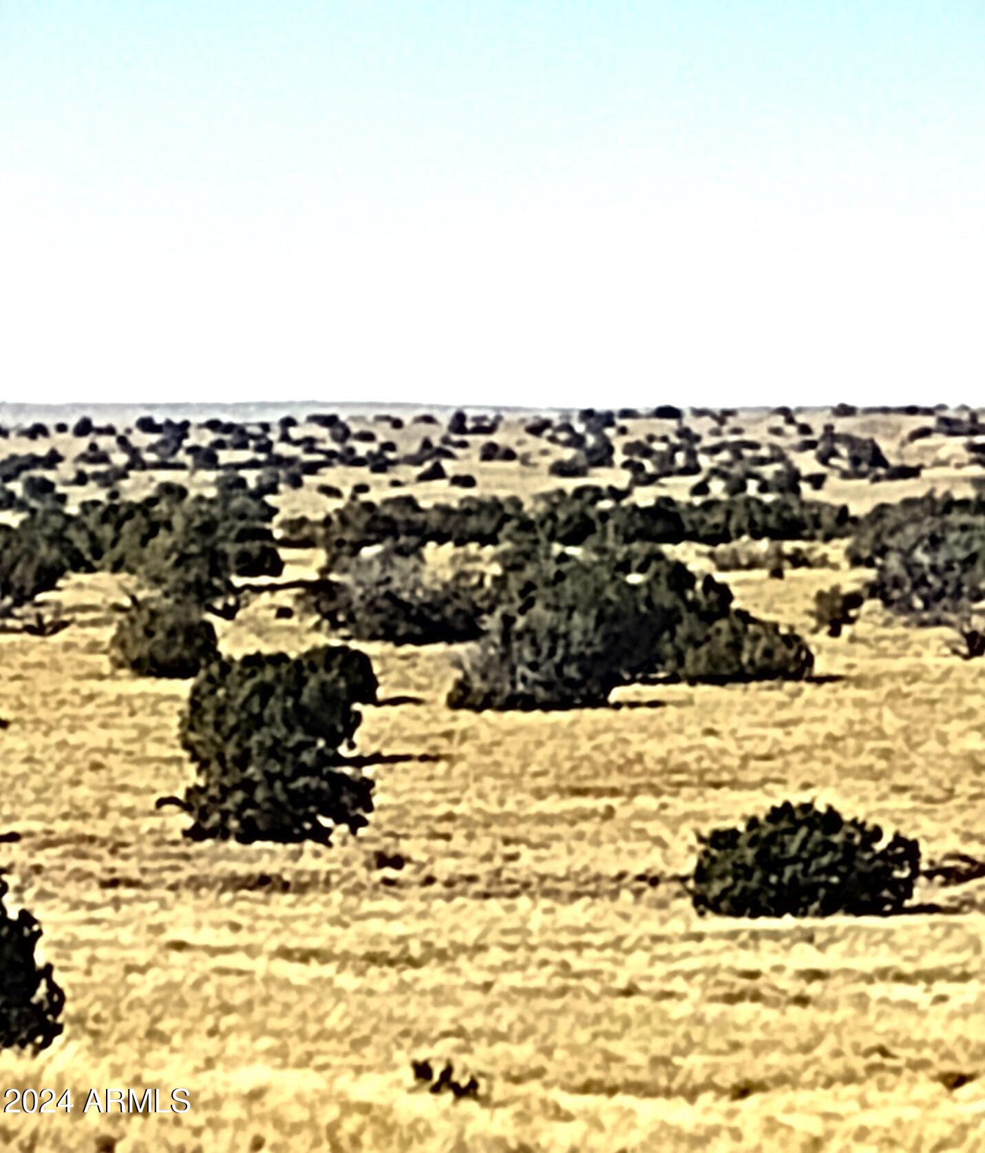19 Sec 18 T20n R28e Chambers, AZ 86502 - Photo 2 of 12 20ac.4