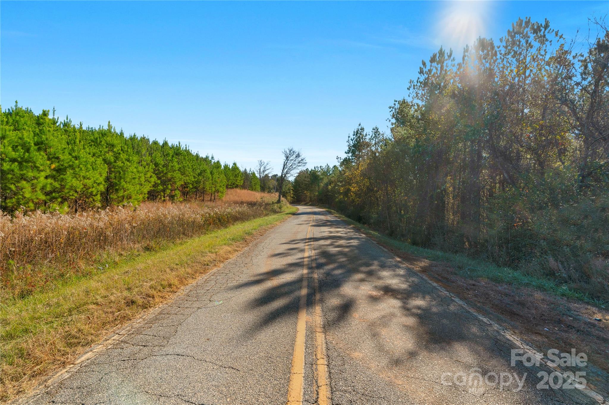0 Quarter Round Road, Unit 7 Pacolet, SC 29372 - Photo 33 of 46 a view of a yard with a tree