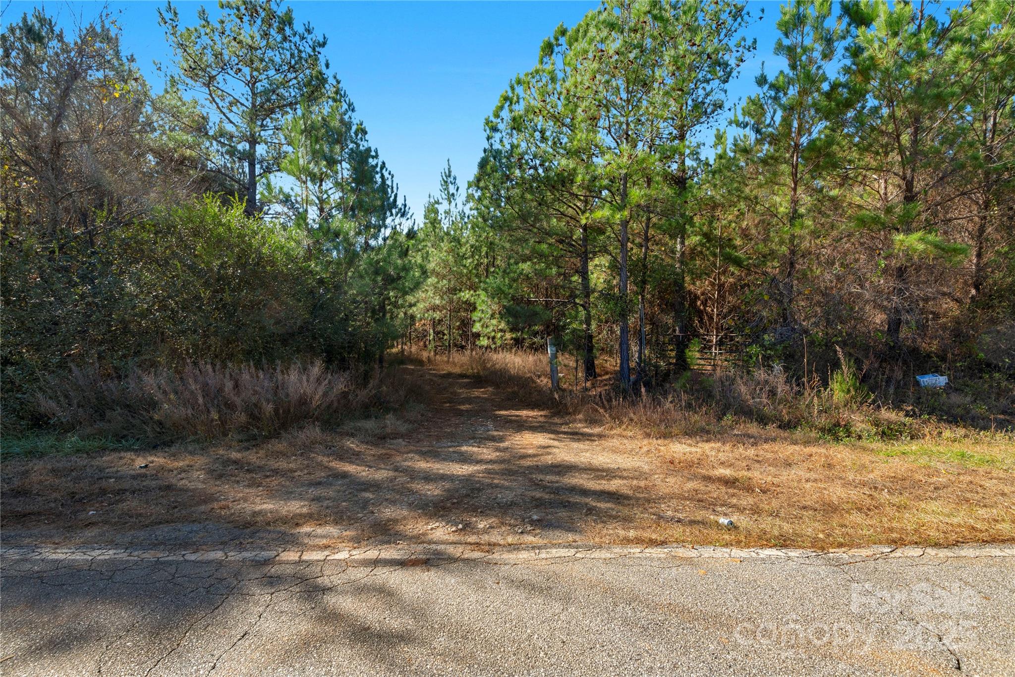 0 Quarter Round Road, Unit 7 Pacolet, SC 29372 - Photo 34 of 46 a view of a yard with a tree