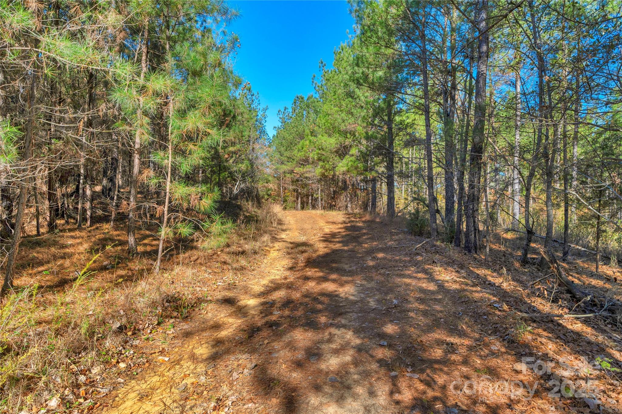 0 Quarter Round Road, Unit 7 Pacolet, SC 29372 - Photo 37 of 46 a view of backyard with green space