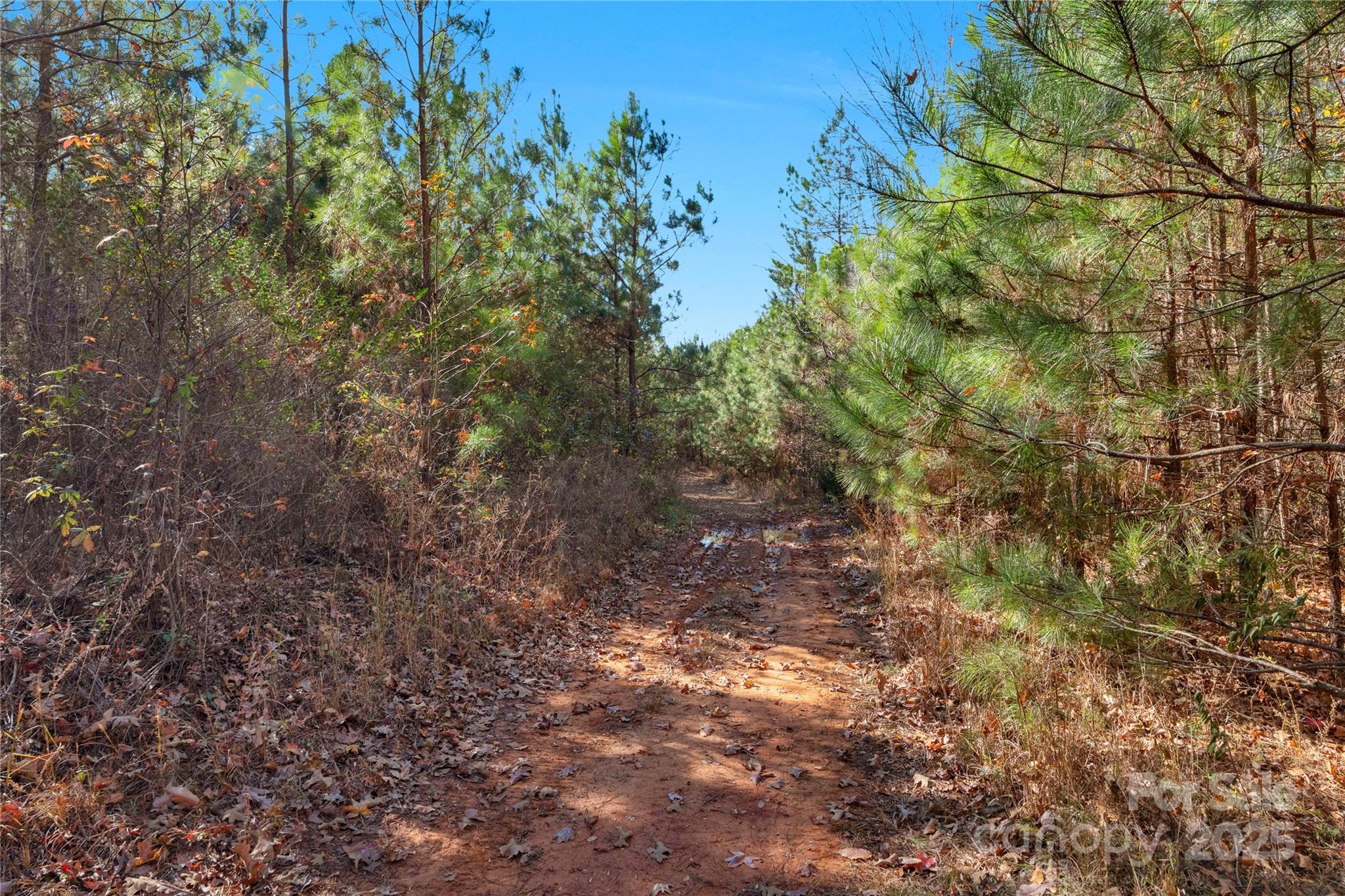 0 Quarter Round Road, Unit 7 Pacolet, SC 29372 - Photo 38 of 46 a view of a yard with a tree