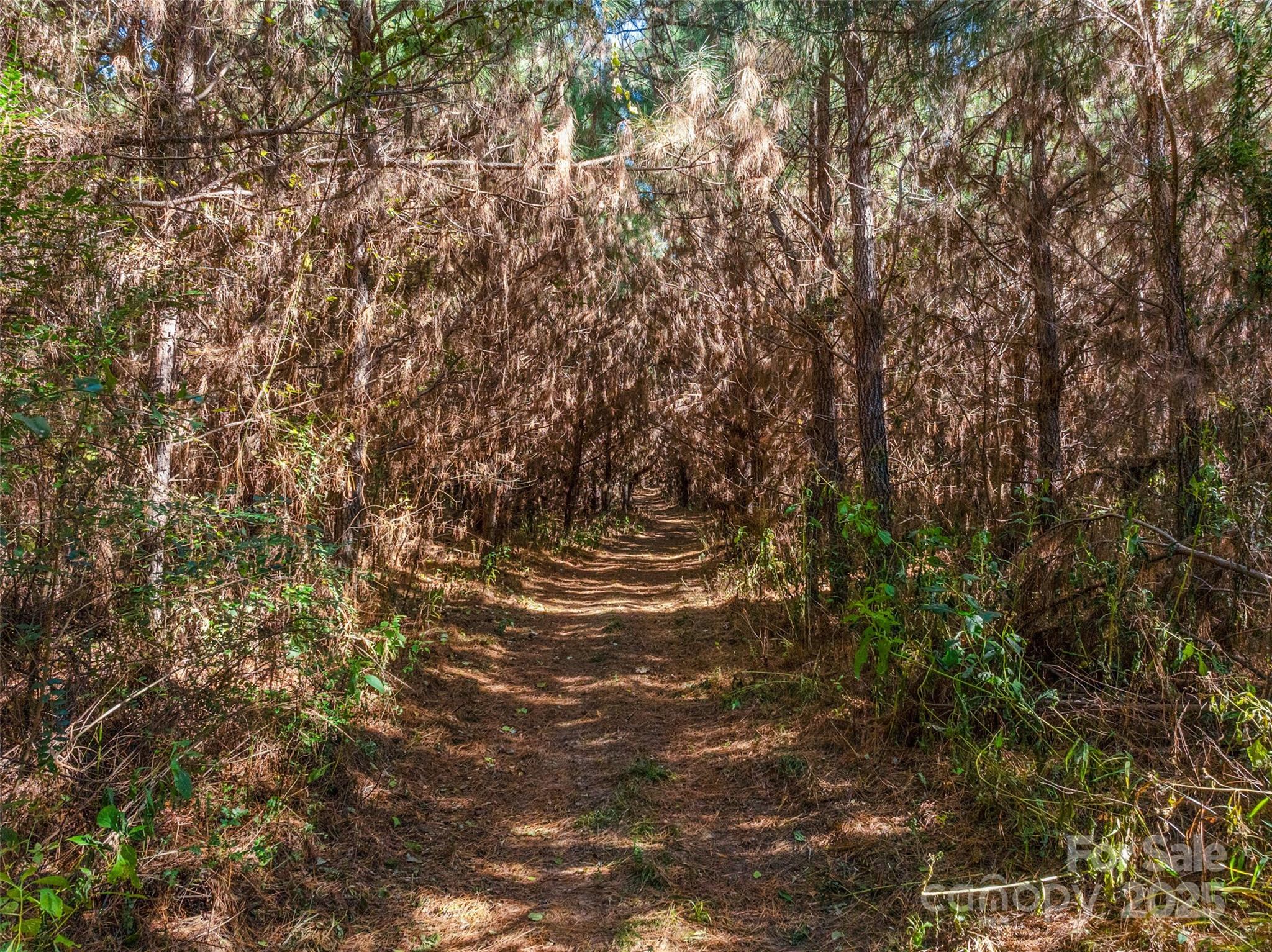 0 Quarter Round Road, Unit 7 Pacolet, SC 29372 - Photo 40 of 46