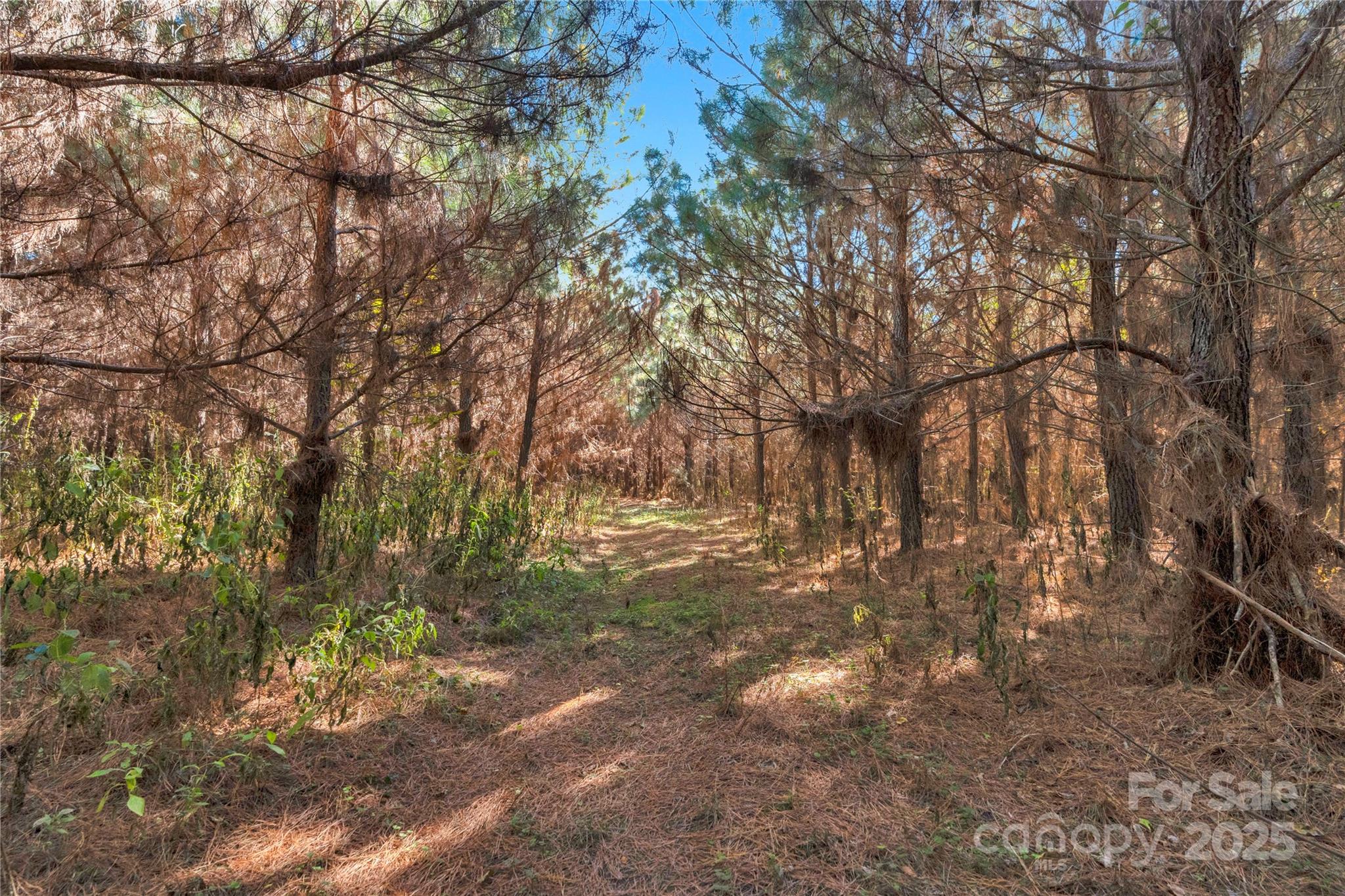 0 Quarter Round Road, Unit 7 Pacolet, SC 29372 - Photo 41 of 46 a backyard of a house with lots of green space