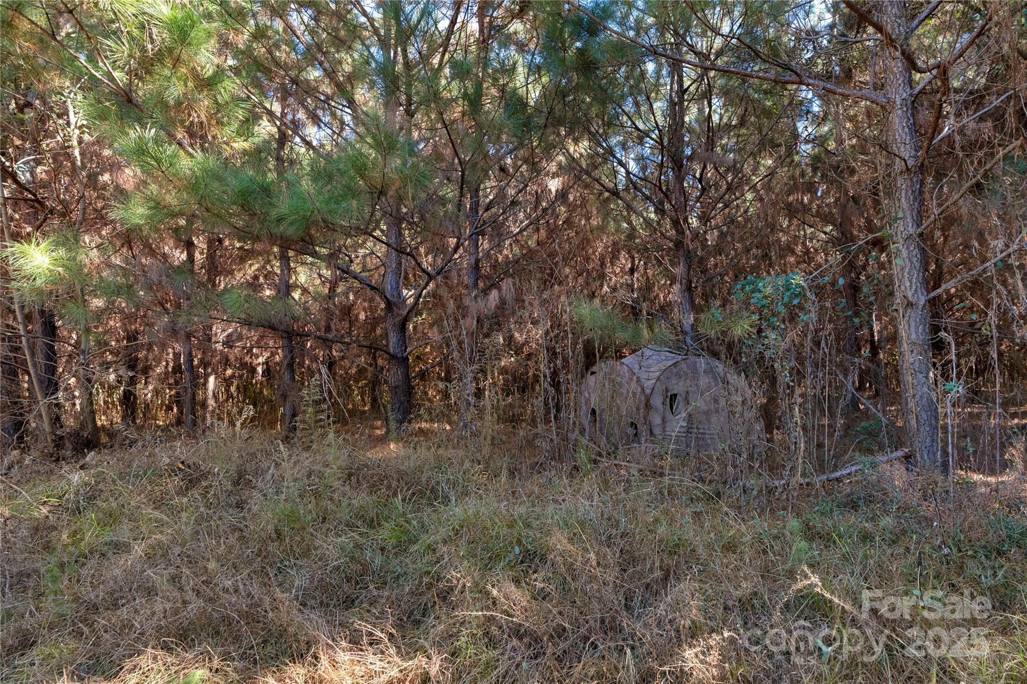0 Quarter Round Road, Unit 7 Pacolet, SC 29372 - Photo 43 of 46 a view of a forest with trees in the background