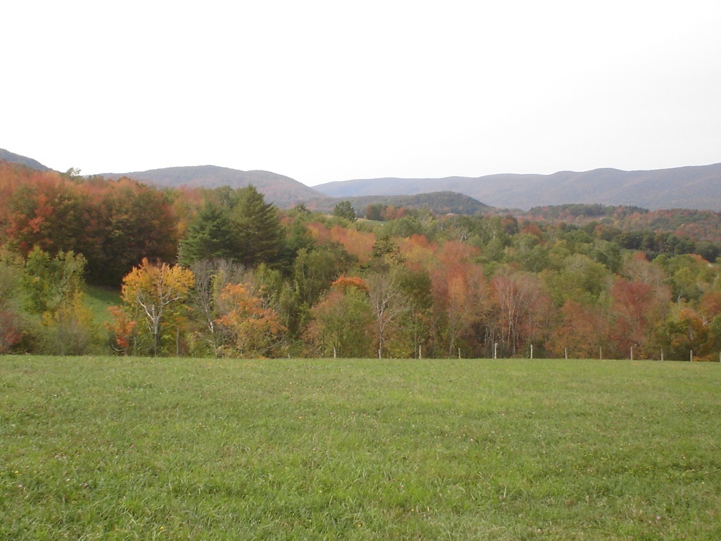 Stratton & Blair Road Williamstown, MA 01267 - Photo 10 of 20 View