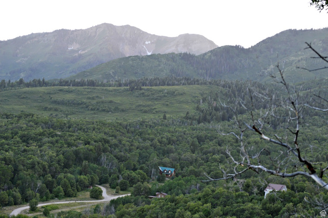 6909 East Spring Drive, Unit 19 Springville, UT 84663 - Photo 1 of 118 Expansive natural landscape featuring lush green foliage and distant mountains