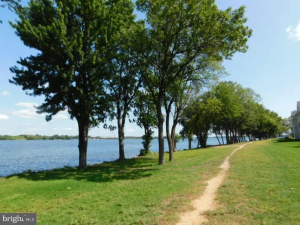 a view of green field