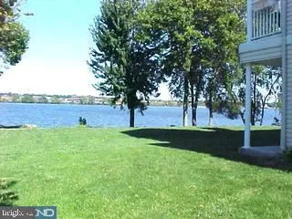 a view of yard with green space and trees