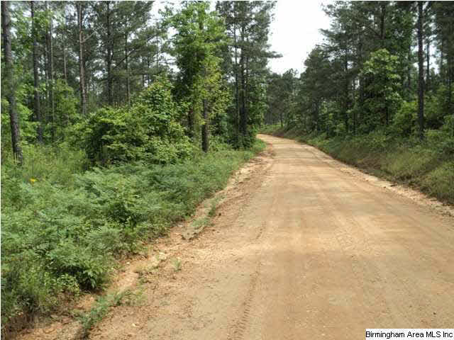 485 County Road, Unit 110 Clanton, AL 35046 - Photo 4 of 22