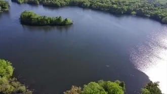a view of a lake with a yard