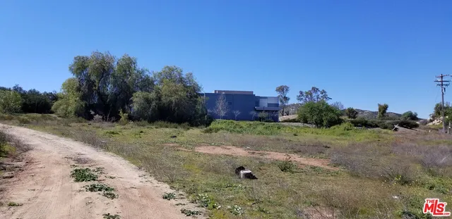 a view of a dry yard with trees