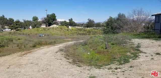 a view of a dry yard with trees