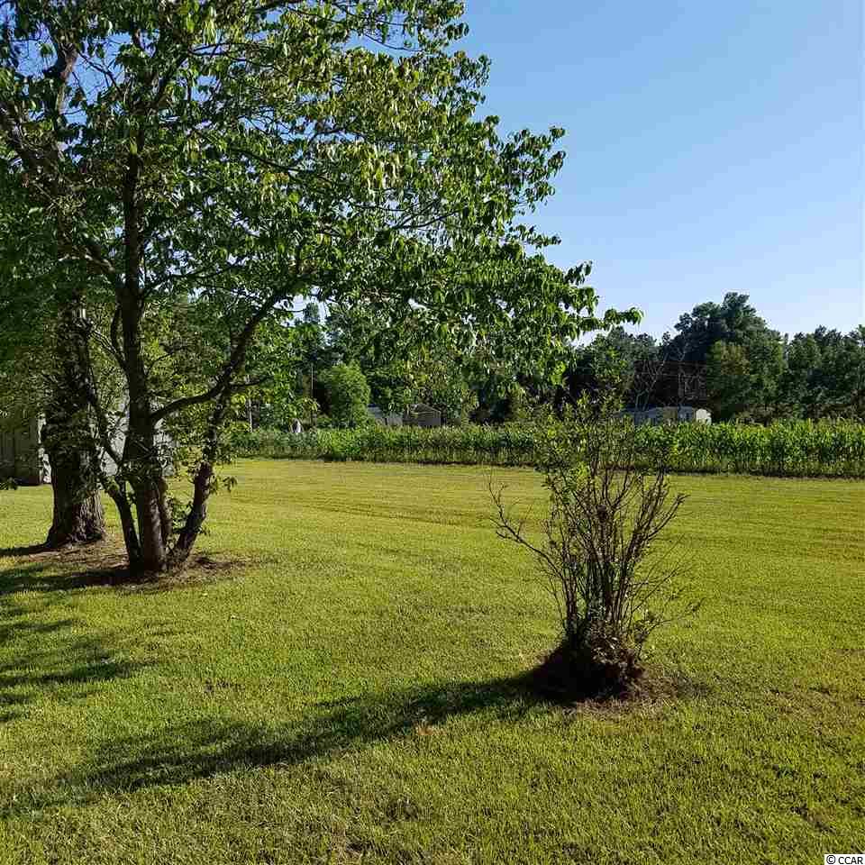 729 County Rd S-45-338 Kingstree, SC 29556 - Photo 5 of 17 Gallery Image 5