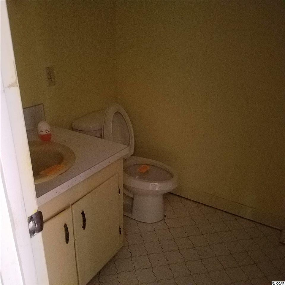 729 County Rd S-45-338 Kingstree, SC 29556 - Photo 10 of 17 Gallery Image 10